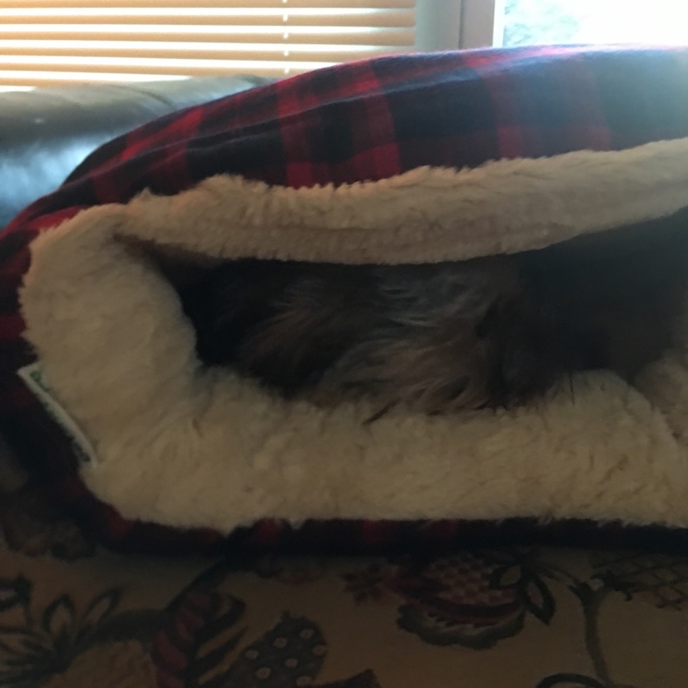 Dog bed - Picture 3 of 4